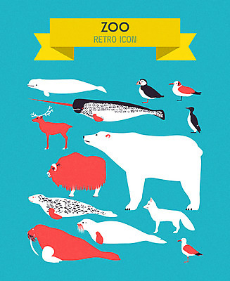 아이콘 여러마리 갈매기 사람없음 소 바다표범 물개 고래 돌고래 펭귄 북극곰 복고 백곰 사막여우 까마귀 순록 2D아이콘 AI파일 다수 곰 포유류 조류 바다동물 수중동물 여우 파일형식 벡터