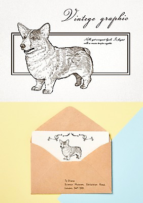 PSD 백그라운드 두마리 일러스트 프레임 사람없음 라벨 빈티지 편지 복고 웰시코기 목업 국내일러스트 컨셉 2 개 파일형식