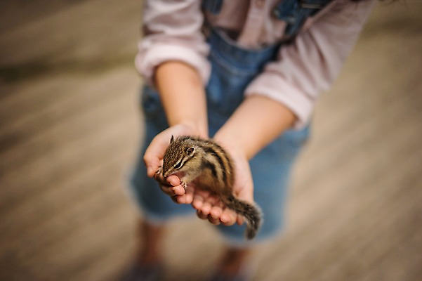 포토 JPG 주간 한마리 여자 어린이라이프 어린이 여행 한명 서기 들기 소녀 야외 한국인 하반신 숲 멜빵바지 호기심 다람쥐 손모으기 춘천 소녀한명만 국내포토 자연요소 1 라이프스타일 감정 컨셉 바지 모션 사람 동양인 손짓 설치류 멜빵 강원도 여자한명만 소녀만 파일형식