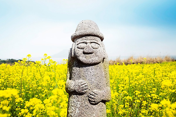 PSD 편집이미지 여행 꽃밭 하늘 풍경 사람없음 제주도 돌하르방 디지털합성 유채 디지털아트 이미지편집 꽃 한국 파일형식