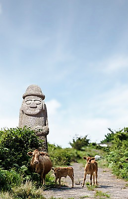 PSD 나무 편집이미지 길 여행 하늘 세마리 풍경 사람없음 제주도 풀 소 돌하르방 디지털합성 송아지 디지털아트 이미지편집 식물 새끼 포유류 한국 3 파일형식