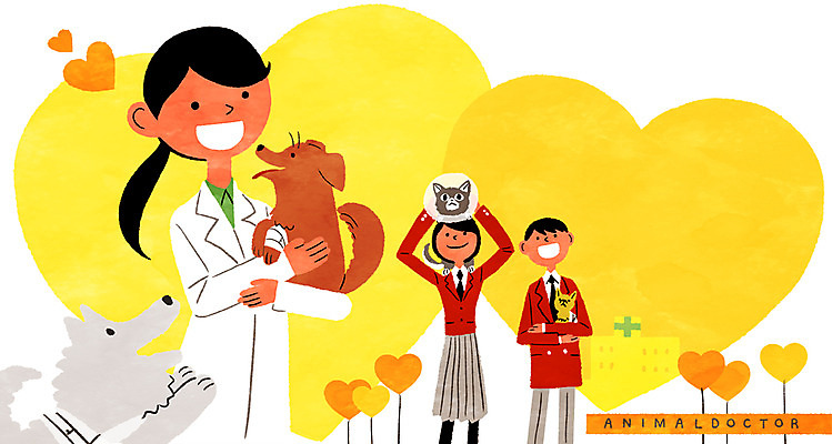 PSD 학생 여자 남자 반려견 일러스트 청소년 프레임 성인 세명 고양이 강아지 수의사 멘토링 국내일러스트 교육 포유류 사람 반려동물 의사 개 파일형식