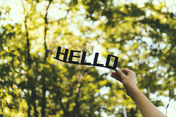 포토 JPG 주간 나무 손 영어 백그라운드 하늘 프레임 한명 들기 풍경 야외 신체부위 페이퍼아트 HELLO 국내포토 자연요소 식물 문자 1 모션 사람 인사 파일형식