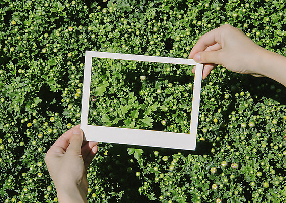 포토 JPG 주간 손 백그라운드 프레임 한명 들기 풍경 야외 신체부위 페이퍼아트 풀숲 국내포토 자연요소 1 모션 사람 숲 파일형식