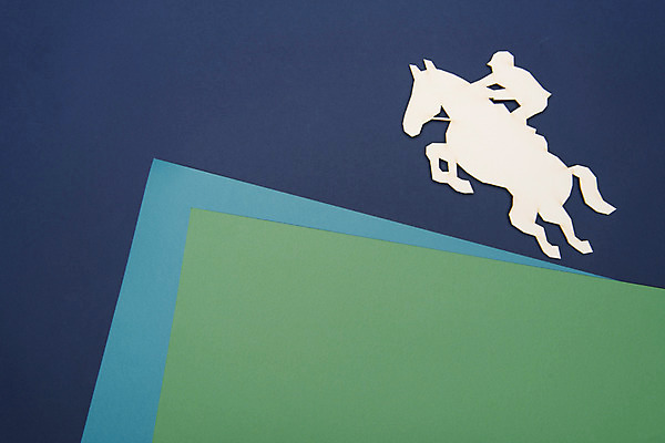 포토 JPG 스튜디오촬영 백그라운드 프레임 실내 사람없음 말_동물 승마 페이퍼아트 국내포토 스포츠 포유류 내부 파일형식