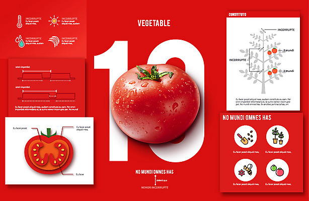 편집이미지 디자인 화분 토마토 건강 사람없음 플랫 벌 모종삽 메터리얼디자인 이미지편집 AI파일 곤충 채소 삽 파일형식 벡터