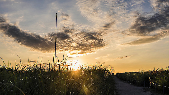 포토 JPG 주간 구름 공원 하늘 서울 풍경 사람없음 야외 노을 산책로 풀 억새 억새밭 하늘공원 국내포토 자연요소 식물 공공시설 길 한국 파일형식