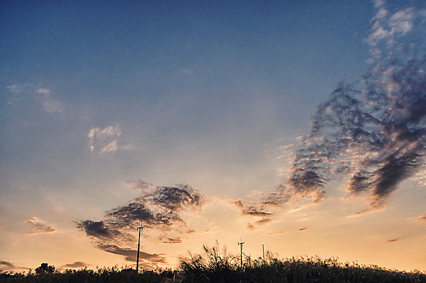 포토 JPG 주간 구름 공원 하늘 서울 풍경 사람없음 야외 노을 풍력에너지 억새 억새밭 하늘공원 국내포토 자연요소 식물 공공시설 한국 그린에너지 파일형식