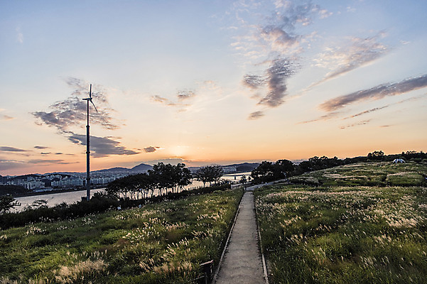 포토 JPG 주간 나무 구름 공원 하늘 서울 풍경 사람없음 야외 노을 산책로 풍력에너지 억새 억새밭 하늘공원 국내포토 자연요소 식물 공공시설 길 한국 그린에너지 파일형식