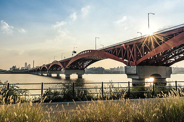 포토 JPG 주간 구름 물결 가로등 하늘 서울 풍경 사람없음 야외 도시풍경 햇빛 산책로 한강 강아지풀 성산대교 가교 국내포토 자연요소 식물 건축물 공공시설 길 한국 태양 다리_건축물 도시 랜드마크 한해살이풀 파일형식