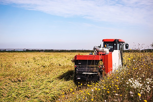 포토 JPG 주간 구름 하늘 풍경 사람없음 야외 벼 가을 충청남도 콤바인 당진 국내포토 자연요소 계절 곡류 농기구 충청도 파일형식