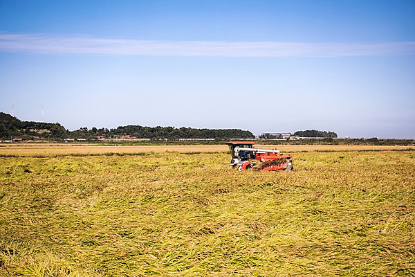 포토 JPG 주간 구름 하늘 풍경 사람없음 야외 벼 가을 충청남도 콤바인 당진 국내포토 자연요소 계절 곡류 농기구 충청도 파일형식