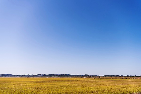 포토 JPG 주간 하늘 풍경 사람없음 야외 벼 가을 충청남도 당진 국내포토 자연요소 계절 곡류 충청도 파일형식