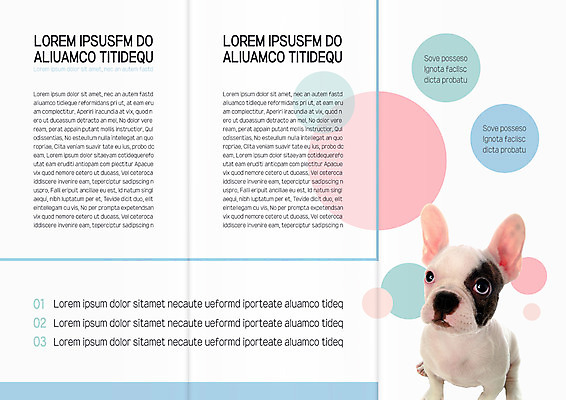 동물 템플릿 편집 한마리 표지디자인 북디자인 출판디자인 내지 새끼 리플렛 북커버 3단접지 팜플렛 사람없음 개 반려 프렌치불독 이미지템플릿 AI파일 1 포유류 불독 파일형식 벡터