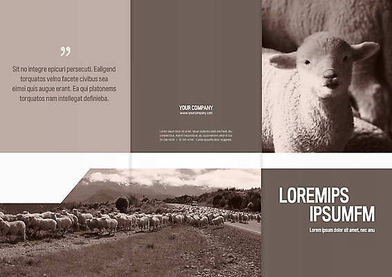 동물 템플릿 편집 표지디자인 북디자인 출판디자인 표지 새끼 리플렛 북커버 여러마리 3단접지 자연 팜플렛 사람없음 양 양떼 양떼목장 이미지템플릿 AI파일 다수 포유류 목장 생태계 파일형식 벡터