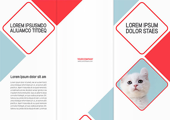 템플릿 편집 한마리 표지디자인 북디자인 출판디자인 표지 리플렛 북커버 3단접지 팜플렛 사람없음 반려동물 고양이 반려 이미지템플릿 AI파일 동물 1 포유류 파일형식 벡터