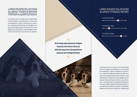 동물 템플릿 편집 표지디자인 북디자인 출판디자인 내지 리플렛 북커버 여러마리 3단접지 팜플렛 사람없음 개 바셋하운드 반려 이미지템플릿 AI파일 다수 포유류 하운드 파일형식 벡터