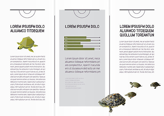 동물 템플릿 편집 표지디자인 북디자인 출판디자인 내지 리플렛 북커버 여러마리 3단접지 자연 그래프 팜플렛 사람없음 거북이 이미지템플릿 AI파일 다수 파충류 생태계 파일형식 벡터