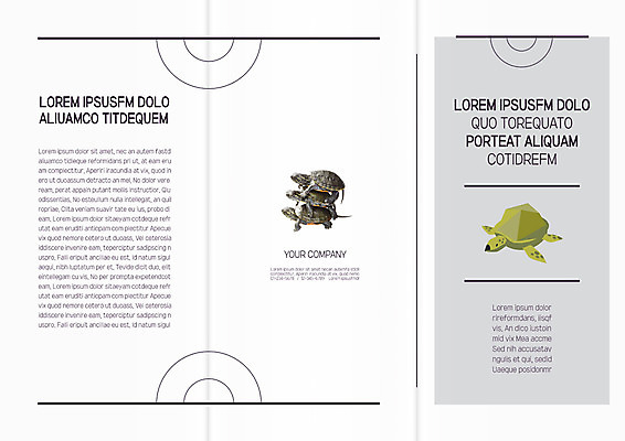 동물 템플릿 편집 표지디자인 북디자인 출판디자인 표지 리플렛 북커버 여러마리 3단접지 자연 팜플렛 사람없음 거북이 승차 이미지템플릿 AI파일 다수 파충류 모션 생태계 파일형식 벡터