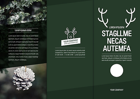 템플릿 편집 표지디자인 북디자인 출판디자인 표지 리플렛 크리스마스 북커버 3단접지 이벤트 팜플렛 사람없음 크리스마스트리 루돌프 솔방울 이미지템플릿 AI파일 기념일 사슴 파일형식 벡터