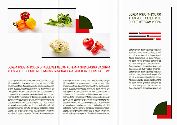 템플릿 편집 표지디자인 북디자인 출판디자인 내지 리플렛 토마토 북커버 3단접지 피망 팜플렛 사람없음 브로콜리 청경채 이미지템플릿 AI파일 채소 파일형식 벡터