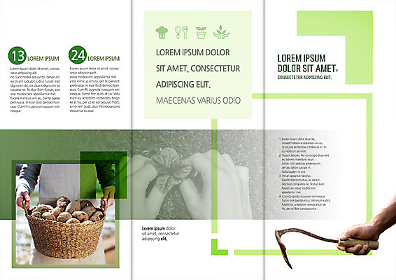PSD 템플릿 편집 표지디자인 북디자인 손 출판디자인 내지 리플렛 북커버 3단접지 감자 들기 팜플렛 신체부위 세명 바구니 새싹 농사 흙 수확 농부 귀농 호미 이미지템플릿 식물 직업 농업 채소 모션 사람 농기구 파일형식