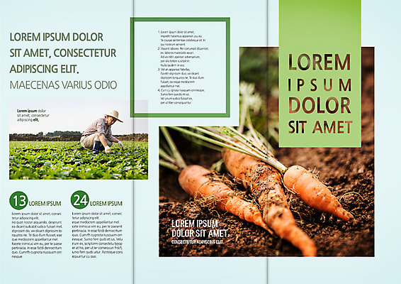 PSD 템플릿 편집 표지디자인 북디자인 출판디자인 남자 내지 리플렛 밭 북커버 3단접지 한명 앉기 팜플렛 성인 농사 흙 당근 한국인 60대 농부 귀농 성인남자한명만 이미지템플릿 직업 1 노년 농업 모션 뿌리채소 사람 동양인 남자한명만 성인남자만 파일형식