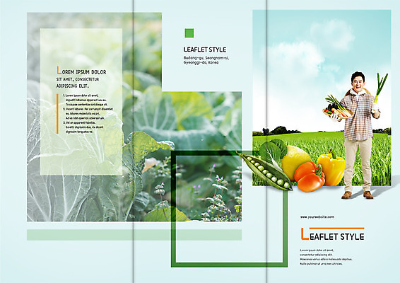 전신 PSD 템플릿 편집 표지디자인 북디자인 출판디자인 표지 남자 리플렛 40대 밭 북커버 3단접지 피망 한명 서기 팜플렛 성인 광주리 농사 한국인 농부 배추 완두콩 귀농 파 성인남자한명만 이미지템플릿 직업 1 중년 농업 채소 모션 콩 사람 동양인 바구니 남자한명만 성인남자만 파일형식