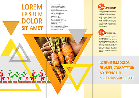 PSD 템플릿 편집 표지디자인 북디자인 손 출판디자인 내지 리플렛 북커버 3단접지 팜플렛 신체부위 농사 흙 당근 귀농 이미지템플릿 농업 뿌리채소 사람 파일형식