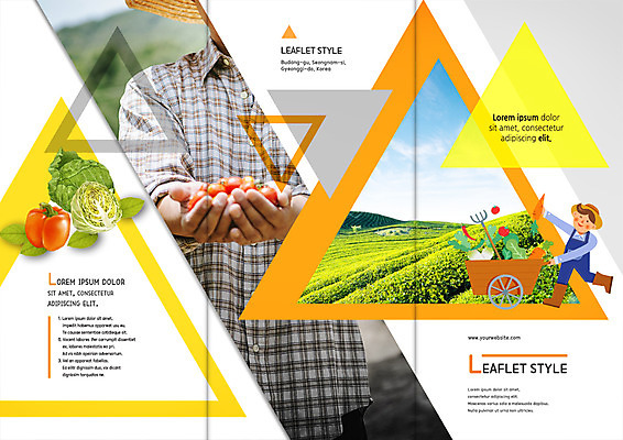 PSD 템플릿 편집 표지디자인 북디자인 출판디자인 표지 남자 리플렛 40대 밭 북커버 3단접지 피망 팜플렛 성인 두명 농사 수레 한국인 농부 농기구 양배추 귀농 이미지템플릿 직업 중년 농업 채소 사람 동양인 카트 파일형식