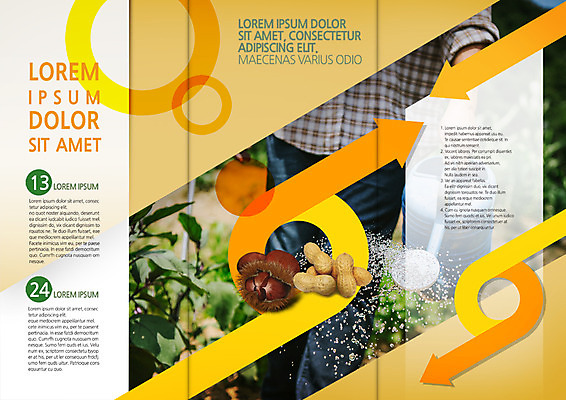 PSD 템플릿 편집 표지디자인 북디자인 출판디자인 화살표 내지 리플렛 북커버 3단접지 한명 팜플렛 농사 물뿌리개 농부 밤 물주기 땅콩 귀농 이미지템플릿 직업 1 농업 모션 사람 견과류 파일형식