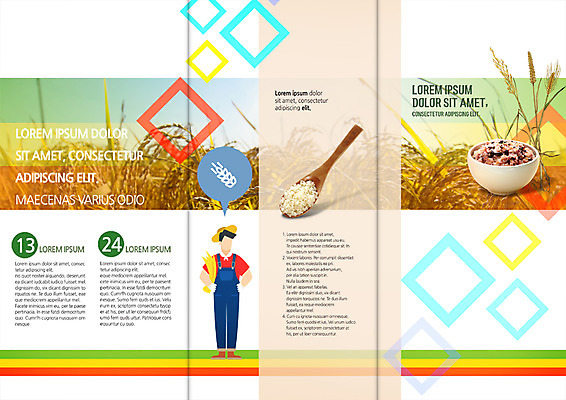 PSD 템플릿 편집 표지디자인 북디자인 출판디자인 남자 내지 리플렛 북커버 3단접지 밥 한명 팜플렛 성인 농사 숟가락 벼 쌀 농부 귀농 밥그릇 벼농사 이미지템플릿 직업 1 그릇 음식 농업 곡류 수저 사람 파일형식