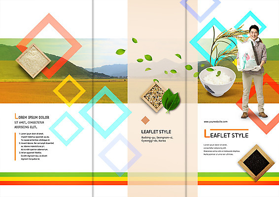 전신 PSD 템플릿 편집 표지디자인 북디자인 출판디자인 표지 남자 리플렛 40대 북커버 3단접지 밥 나뭇잎 산 논 한명 서기 팜플렛 성인 농사 한국인 벼 쌀 농부 귀농 밥그릇 벼농사 되 쌀포대 성인남자한명만 이미지템플릿 직업 1 그릇 음식 중년 잎 농업 모션 곡류 사람 동양인 남자한명만 성인남자만 파일형식