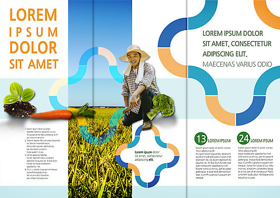 PSD 템플릿 편집 표지디자인 북디자인 출판디자인 남자 내지 리플렛 40대 북커버 3단접지 논 한명 웃음 앉기 팜플렛 성인 농사 흙 당근 한국인 벼 농부 브로콜리 밀짚모자 귀농 성인남자한명만 이미지템플릿 직업 모자_잡화 1 중년 농업 채소 모션 곡류 뿌리채소 표정 사람 동양인 남자한명만 성인남자만 파일형식