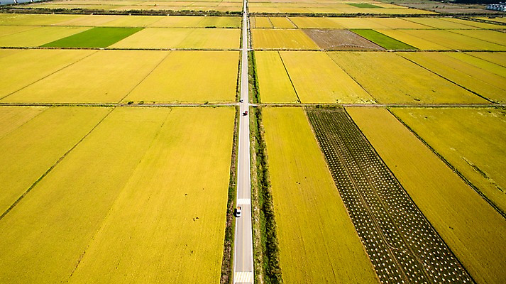 포토 JPG 주간 풍경 사람없음 야외 가을 충청남도 항공촬영 논밭 당진 국내포토 자연요소 계절 뷰포인트 밭 논 충청도 파일형식