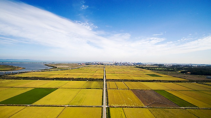 포토 JPG 주간 하늘 풍경 사람없음 야외 가을 충청남도 항공촬영 논밭 당진 국내포토 자연요소 계절 뷰포인트 밭 논 충청도 파일형식