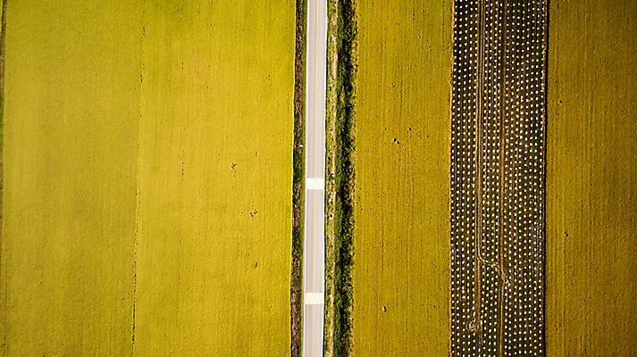 포토 JPG 주간 풍경 사람없음 야외 가을 충청남도 항공촬영 논밭 당진 국내포토 자연요소 계절 뷰포인트 밭 논 충청도 파일형식