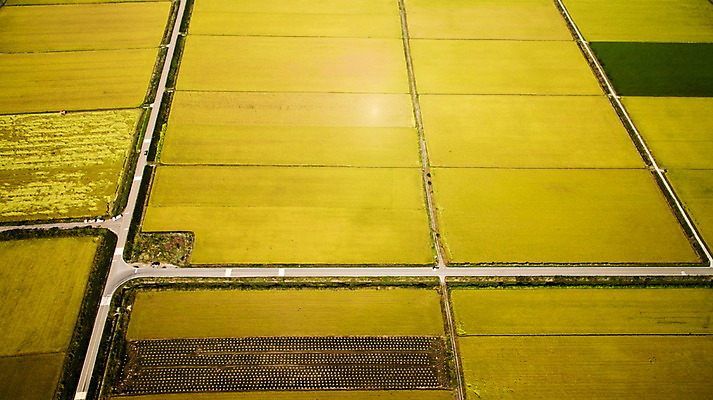 포토 JPG 주간 풍경 사람없음 야외 가을 충청남도 항공촬영 논밭 당진 국내포토 자연요소 계절 뷰포인트 밭 논 충청도 파일형식
