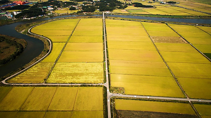 포토 JPG 주간 풍경 사람없음 야외 가을 충청남도 항공촬영 논밭 당진 국내포토 자연요소 계절 뷰포인트 밭 논 충청도 파일형식