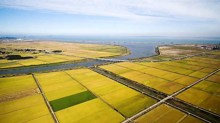 포토 JPG 주간 하늘 풍경 사람없음 야외 가을 충청남도 항공촬영 논밭 당진 국내포토 자연요소 계절 뷰포인트 밭 논 충청도 파일형식