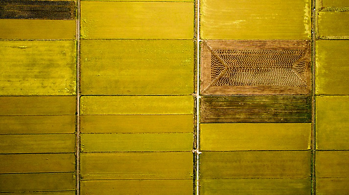 포토 JPG 주간 풍경 사람없음 야외 가을 충청남도 항공촬영 논밭 당진 국내포토 자연요소 계절 뷰포인트 밭 논 충청도 파일형식