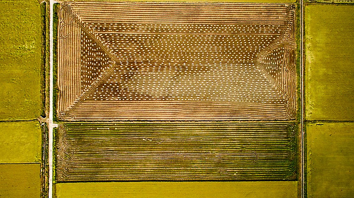 포토 JPG 주간 풍경 사람없음 야외 가을 충청남도 항공촬영 논밭 당진 국내포토 자연요소 계절 뷰포인트 밭 논 충청도 파일형식