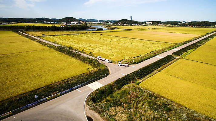 포토 JPG 주간 도로 풍경 사람없음 야외 가을 충청남도 항공촬영 논밭 당진 국내포토 자연요소 계절 길 뷰포인트 밭 교통시설 논 충청도 파일형식