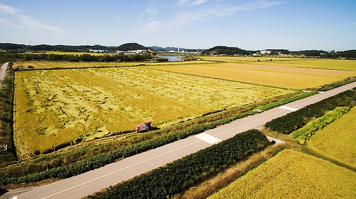포토 JPG 주간 도로 풍경 사람없음 야외 가을 충청남도 항공촬영 논밭 당진 국내포토 자연요소 계절 길 뷰포인트 밭 교통시설 논 충청도 파일형식
