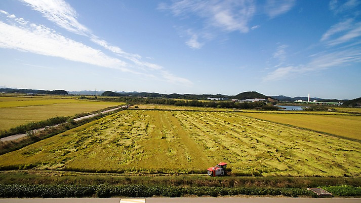 포토 JPG 주간 하늘 풍경 사람없음 야외 가을 충청남도 항공촬영 논밭 콤바인 당진 국내포토 자연요소 계절 뷰포인트 밭 논 농기구 충청도 파일형식