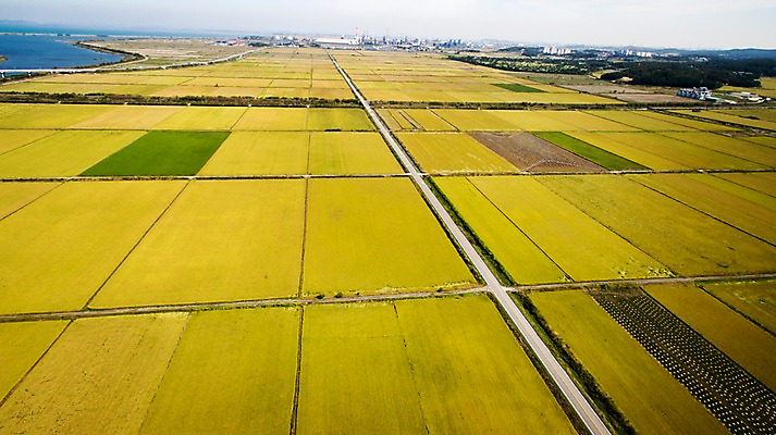 포토 JPG 주간 도로 풍경 사람없음 야외 가을 충청남도 항공촬영 논밭 당진 국내포토 자연요소 계절 길 뷰포인트 밭 교통시설 논 충청도 파일형식