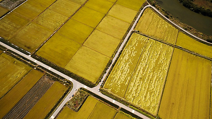 포토 JPG 주간 도로 풍경 사람없음 야외 가을 충청남도 항공촬영 논밭 당진 국내포토 자연요소 계절 길 뷰포인트 밭 교통시설 논 충청도 파일형식