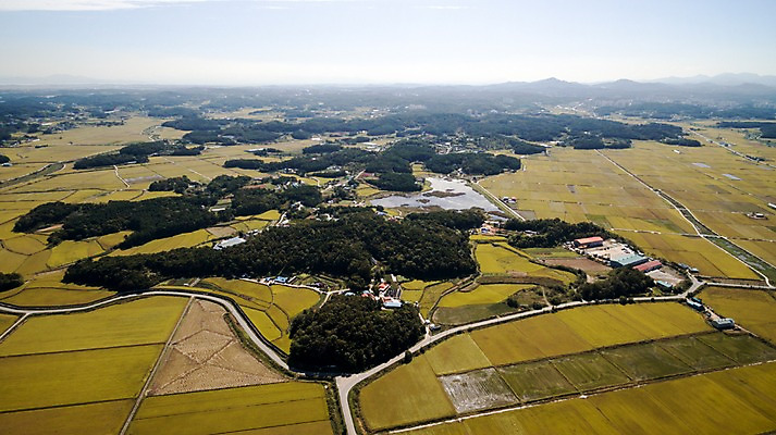 포토 JPG 주간 풍경 사람없음 야외 가을 충청남도 항공촬영 논밭 당진 국내포토 자연요소 계절 뷰포인트 밭 논 충청도 파일형식
