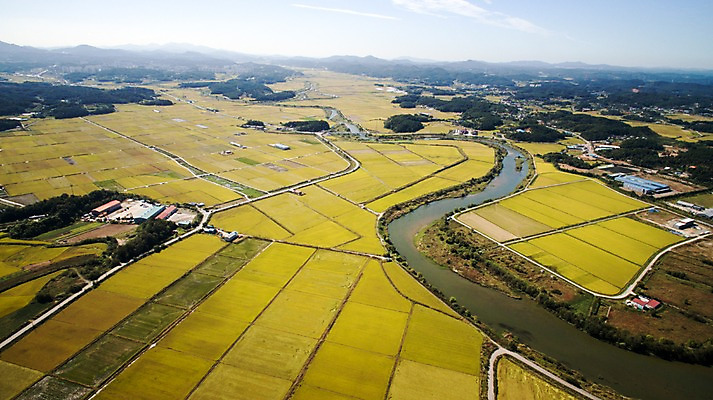 포토 JPG 주간 풍경 사람없음 야외 가을 충청남도 항공촬영 논밭 당진 국내포토 자연요소 계절 뷰포인트 밭 논 충청도 파일형식