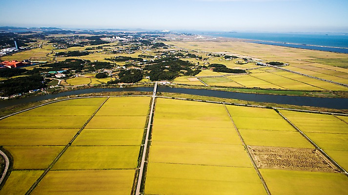 포토 JPG 주간 풍경 사람없음 야외 가을 충청남도 항공촬영 논밭 당진 국내포토 자연요소 계절 뷰포인트 밭 논 충청도 파일형식